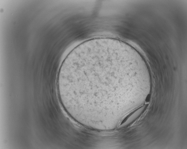 X0000068741440200605262040