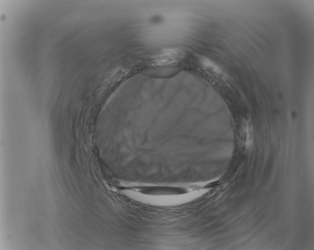 X0000068741441200605262039