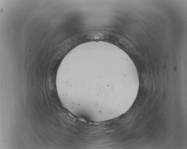 X0000068741442200605262039