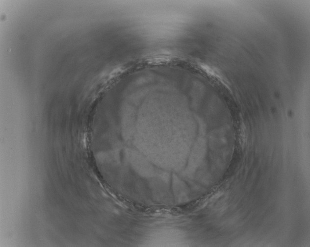 X0000068741445200605262039