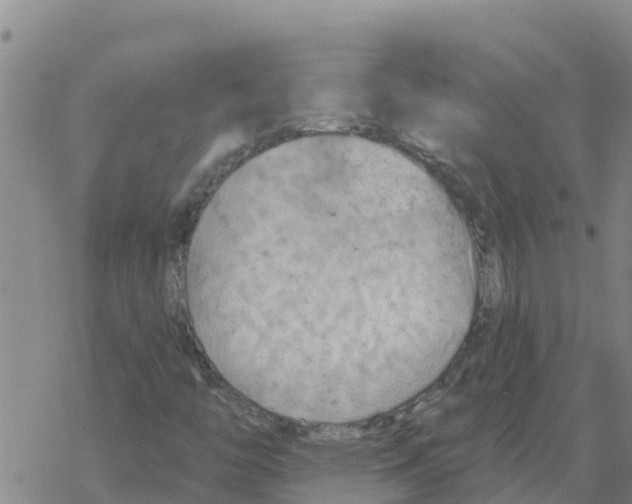 X0000068741446200605262039