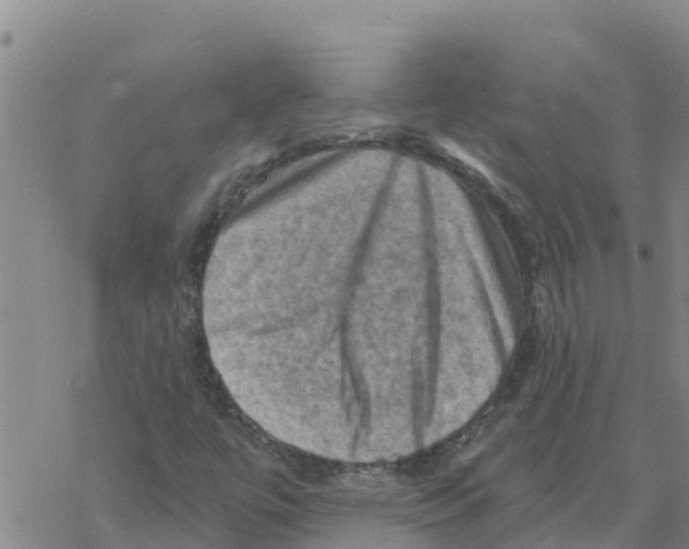 X0000068741447200605262039