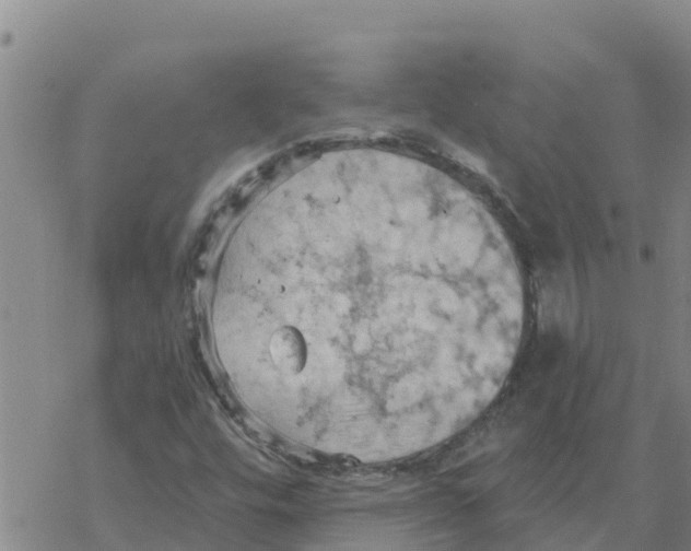 X0000068741448200605262039