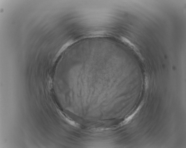 X0000068741449200605262039