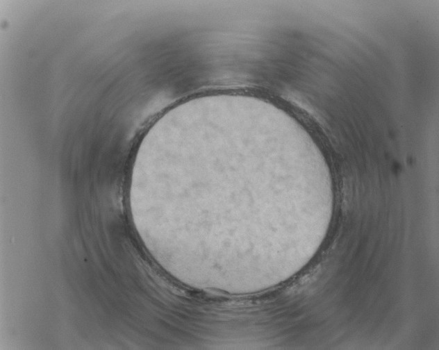 X0000068741451200605262039