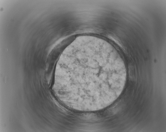 X0000068741452200605262039