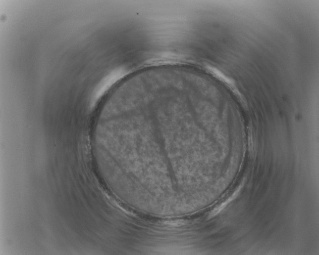 X0000068741453200605262039