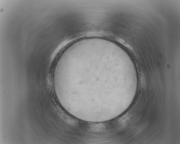 X0000068741454200605262039