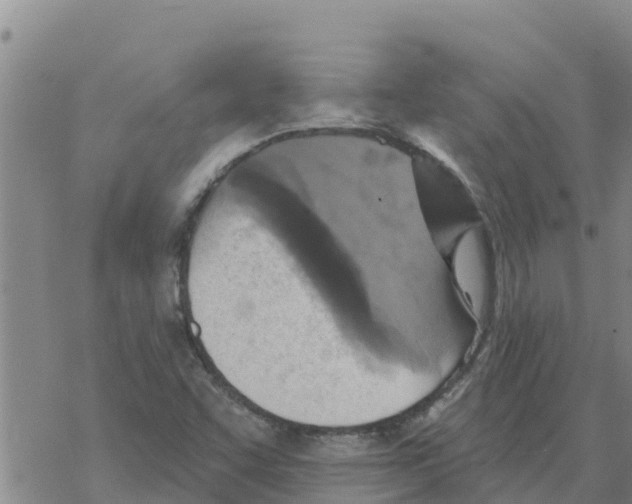 X0000068741455200605262039