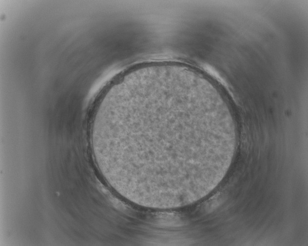 X0000068741456200605262039