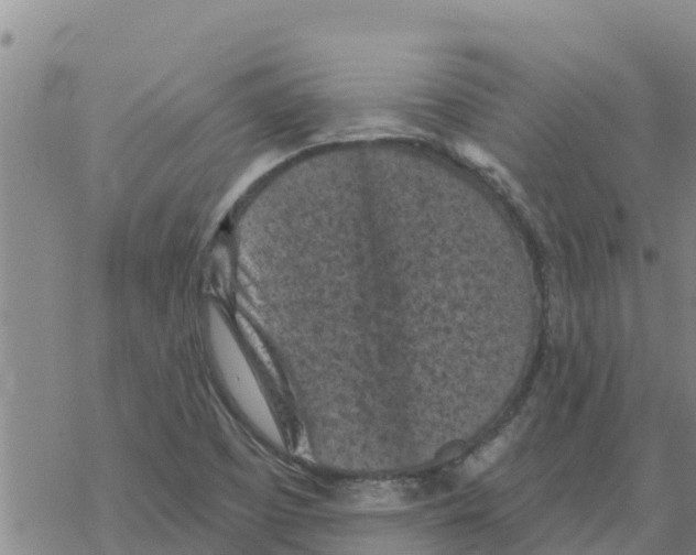 X0000068741457200605262039