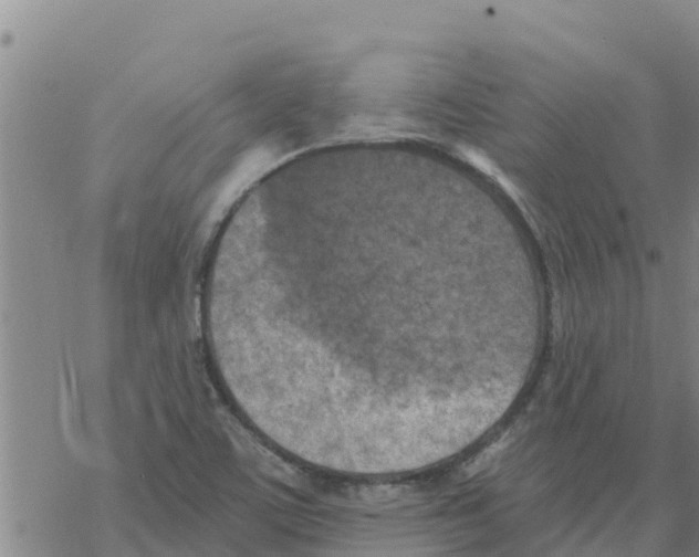 X0000068741459200605262039