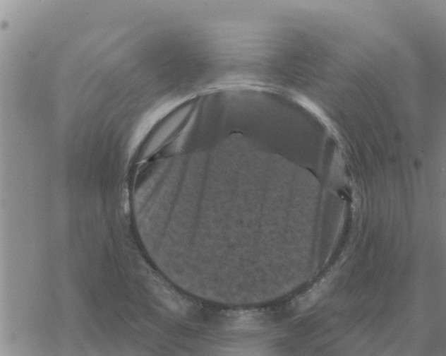 X0000068741461200605262038