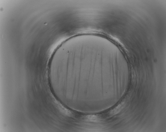 X0000068741463200605262038