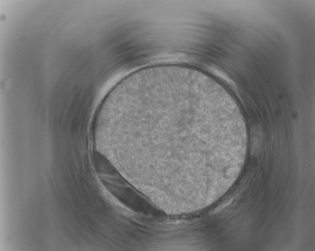 X0000068741467200605262038