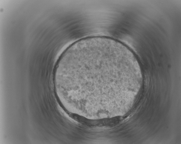 X0000068741468200605262038