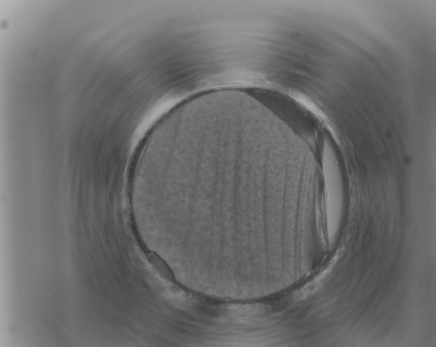 X0000068741469200605262038