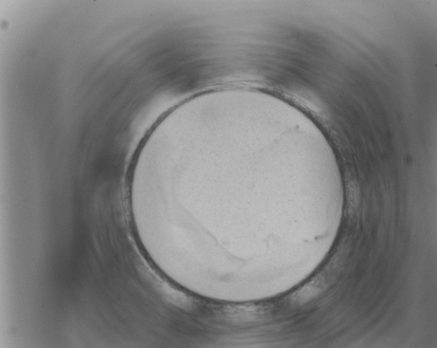 X0000068741470200605262038