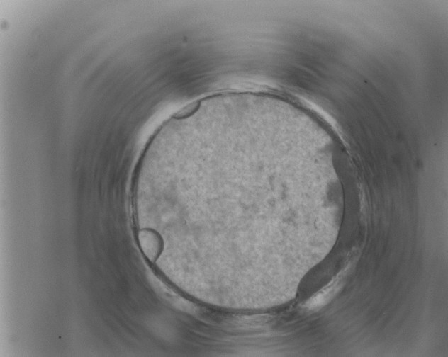 X0000068741471200605262038