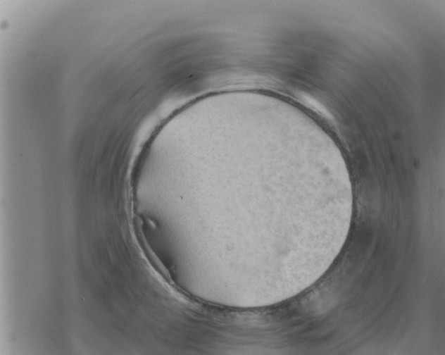 X0000068741472200605262038