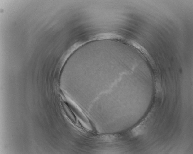 X0000068741473200605262038