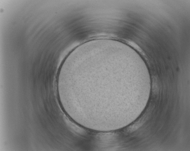 X0000068741474200605262038