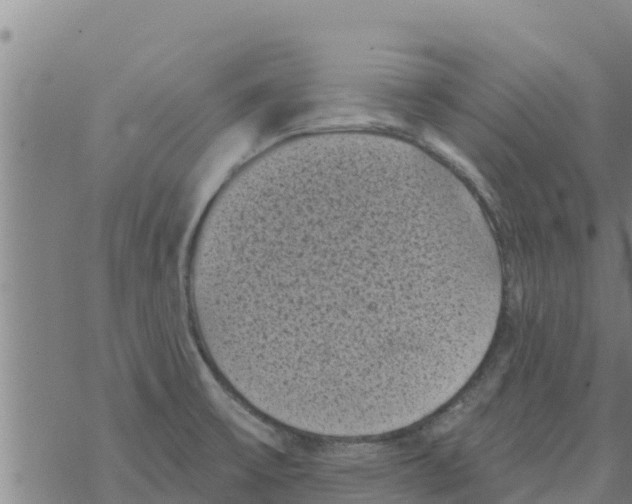 X0000068741475200605262038