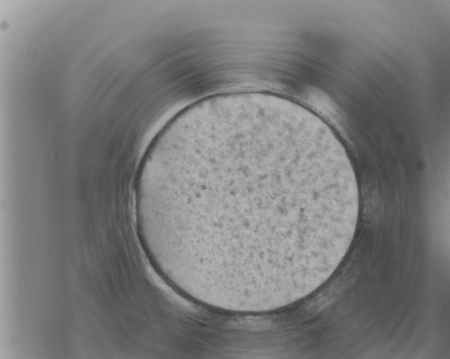 X0000068741476200605262038