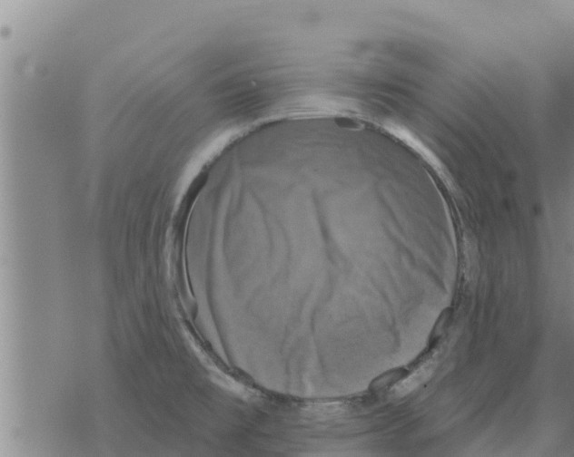 X0000068741477200605262038