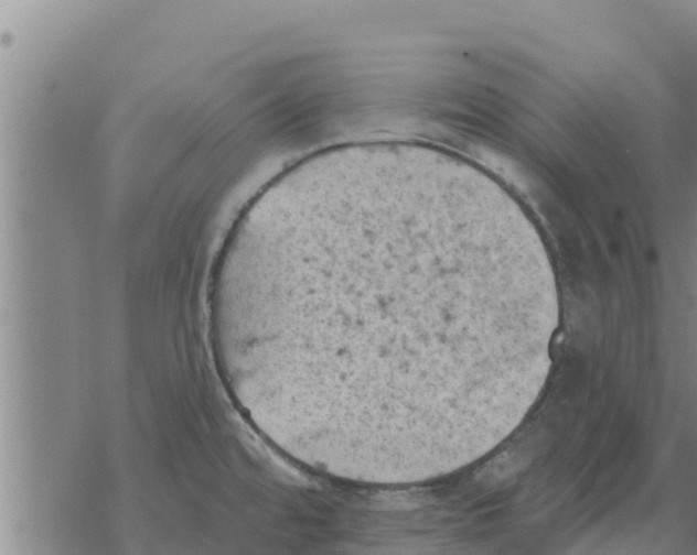 X0000068741480200605262038