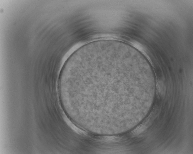 X0000068741482200605262038