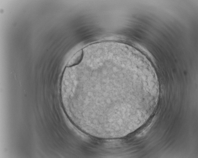 X0000068741483200605262038