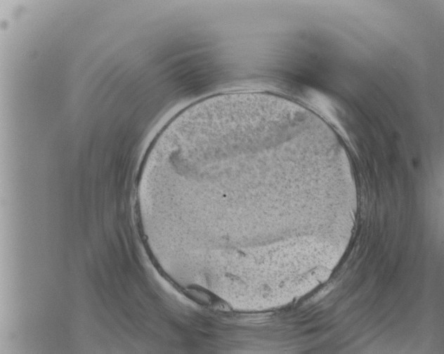 X0000068741484200605262038