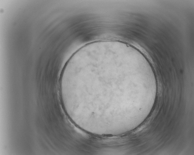 X0000068741486200605262038