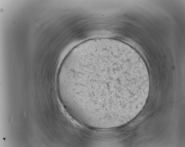 X0000068741488200605262038