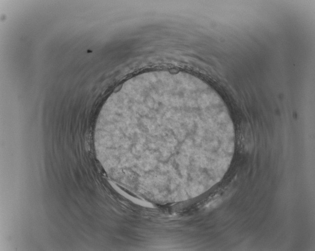 X0000068741490200605262037