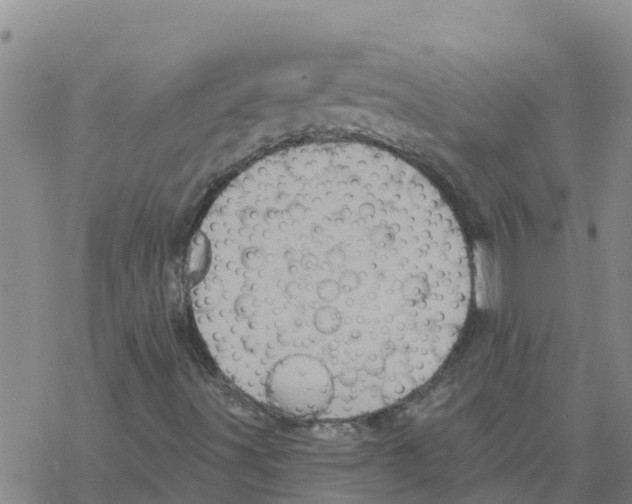 X0000068741491200605262037