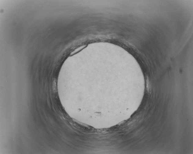 X0000068741492200605262037