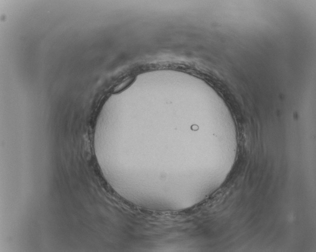 X0000068741493200605262037