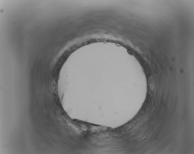 X0000068741495200605262037