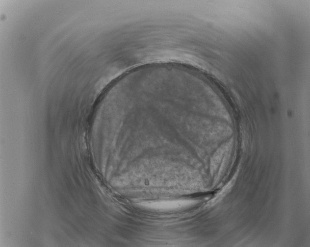 X0000068741497200605262037