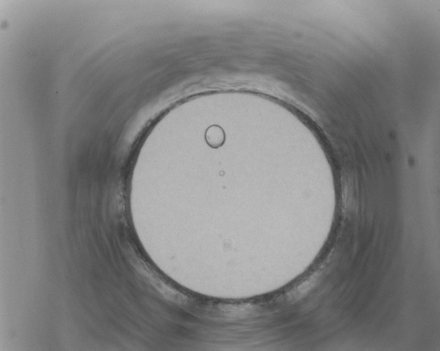 X0000068741498200605262037