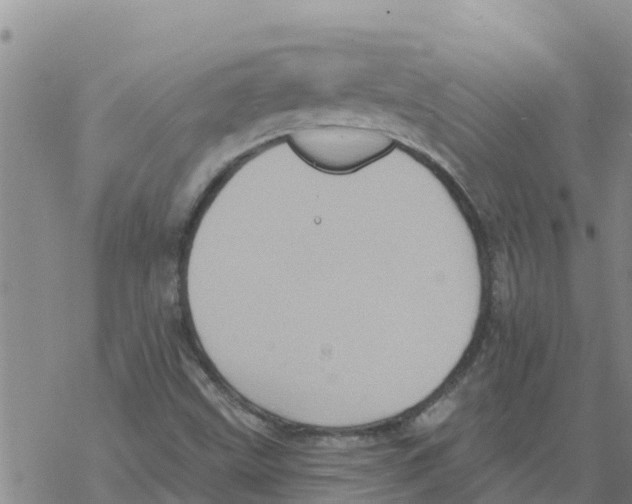 X0000068741499200605262037