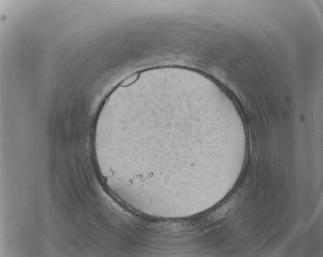 X0000068741500200605262037