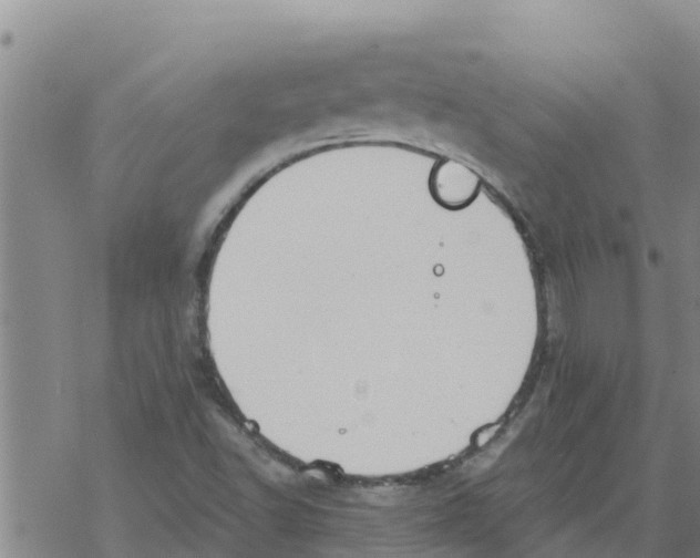 X0000068741502200605262037