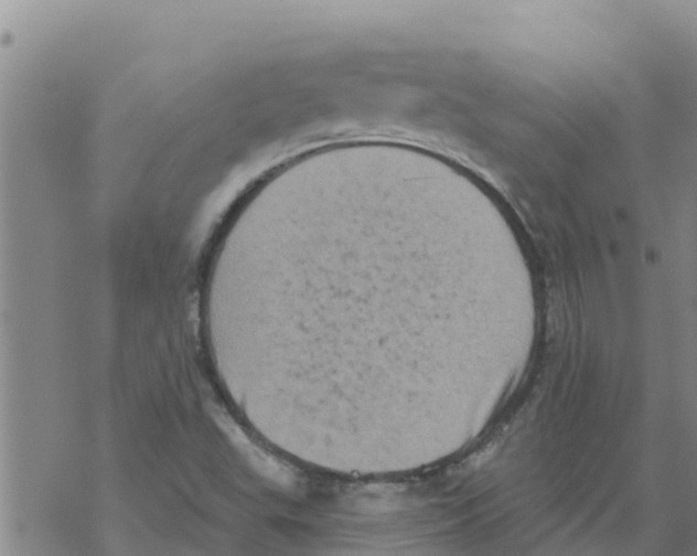 X0000068741503200605262038