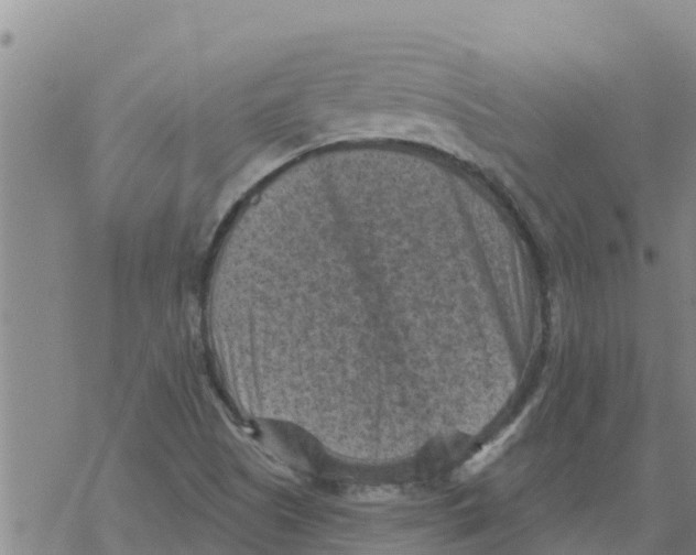 X0000068741505200605262038