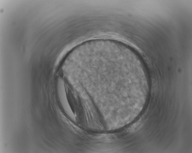 X0000068741506200605262038