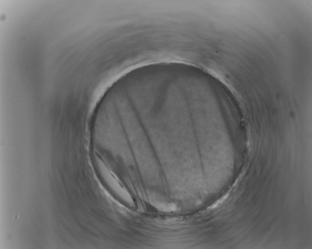 X0000068741508200605262038