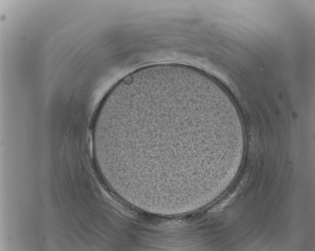 X0000068741509200605262038